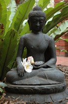 YTH - Yoga Meditation