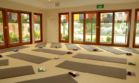 YTH - Louise Wiggins Studio
